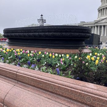 United States Capitol - Landmarks & Historical Buildings Near Me - Washington, DC, District of Columbia United States Capitol - Landmarks & Historical Buildings Near Me - Washington, DC, District of Columbia