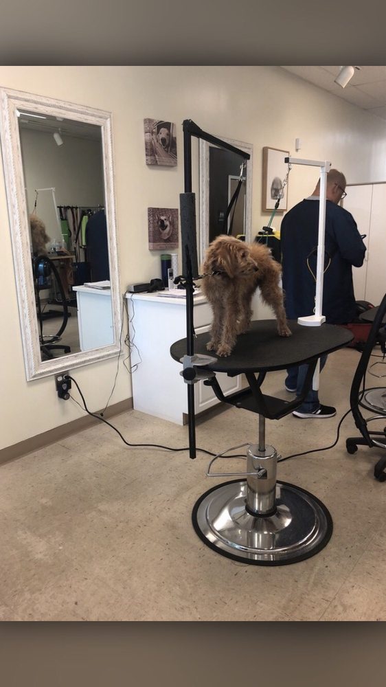 BUBBLES AND BRUSHES FOR PAWS GROOMING SALON 13 Photos & 31 Reviews Pet Groomers 130