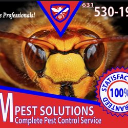 Am Pest Solutions