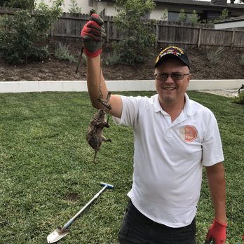 Gopher Stop - Pest Control Near Me Gopher Stop - Pest Control Near Me
