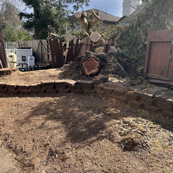 LD Tree Care - Tree Services Near Me LD Tree Care - Tree Services Near Me