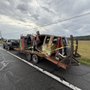 Photo of Lewis’s Hauling