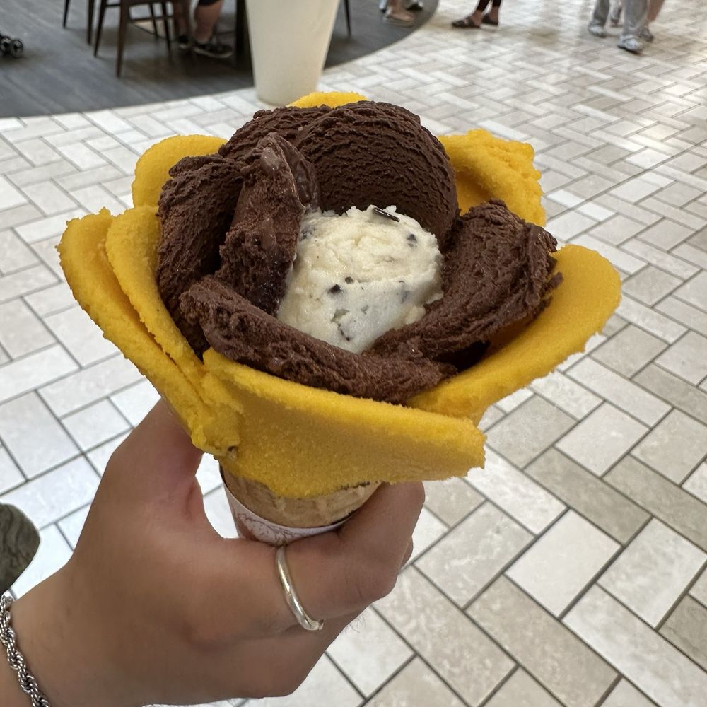 Amorino - Mango, chocolate, and stracciatella - Ice Cream & Frozen Yogurt Near Me - Tysons, Virginia