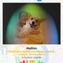 Aura Photo Pros