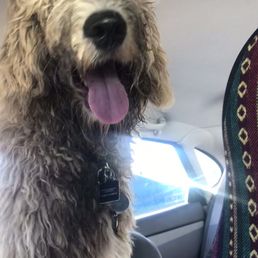 Yet another day of him being covered in dirt! He loves it though Yet another day of him being covered in dirt! He loves it though