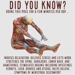 Caldwell Wholistic & Chiropractic