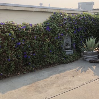 Gardenias Landscape - after - Landscaping Near Me