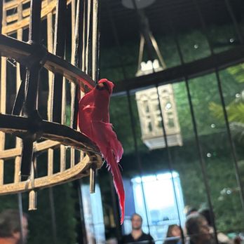 THE CAGE IN HUNTINGDON VALLEY - Updated July 2025 - 200 Photos & 72 Reviews - 2190 E County Line