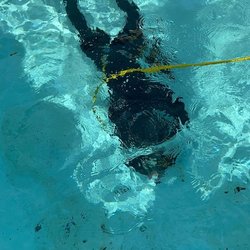 Inspire Pool Plastering & Repairs