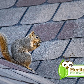 Heritage Pest Control - Pest Control Near Me - Pompton Plains, New Jersey
