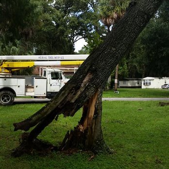 Aerial Tree Service - Tree Services Near Me