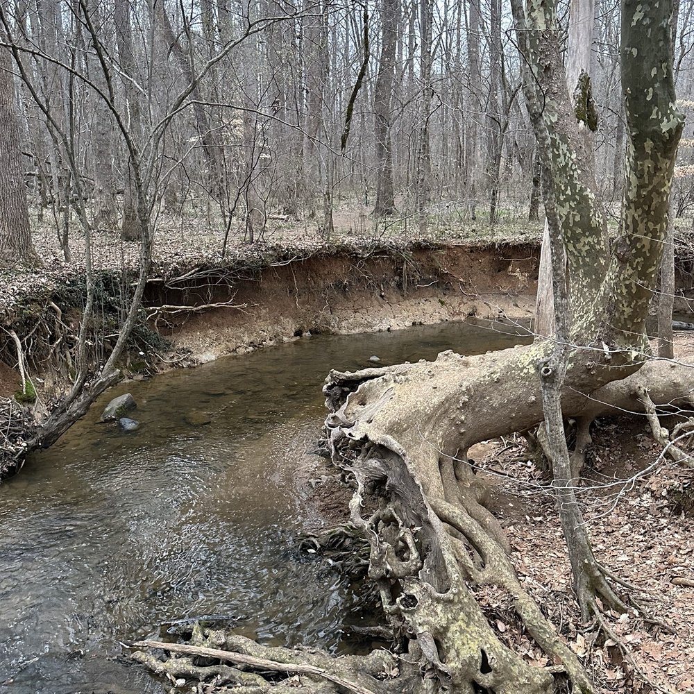 Johnston Mill Nature Preserve - Really great water areas - Hiking Near Me - Chapel Hill, North Carolina Johnston Mill Nature Preserve - Really great water areas - Hiking Near Me - Chapel Hill, North Carolina