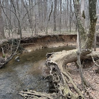 Johnston Mill Nature Preserve - Really great water areas - Hiking Near Me - Chapel Hill, North Carolina Johnston Mill Nature Preserve - Really great water areas - Hiking Near Me - Chapel Hill, North Carolina