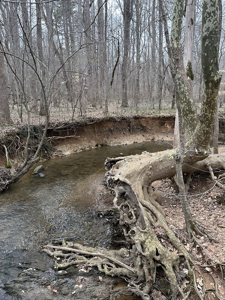 Johnston Mill Nature Preserve Image