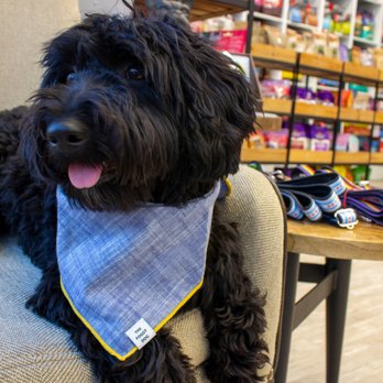 Elysiem - Pet Stores Near Me - Bethesda, Maryland Elysiem - Pet Stores Near Me - Bethesda, Maryland