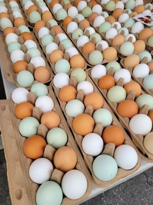 The Riverside Downtown Farmers Market by null