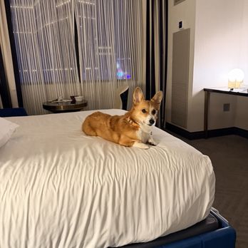 The Cosmopolitan - Hotels Near Me - Las Vegas, Nevada The Cosmopolitan - Hotels Near Me - Las Vegas, Nevada