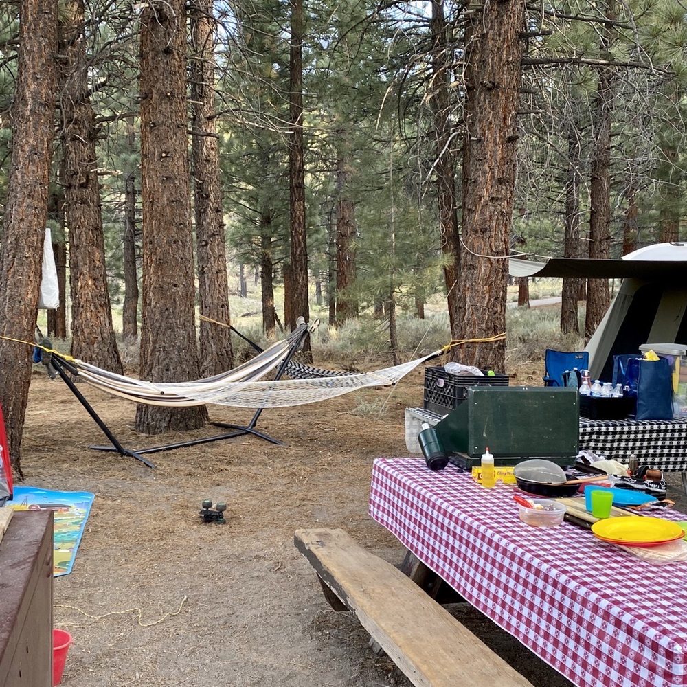 Big Springs Campground - Our site. - Campgrounds Near Me - Mammoth Lakes, California