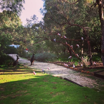 Llewellin's Guest House by null