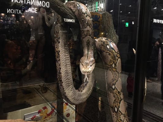 Manchester Museum by null