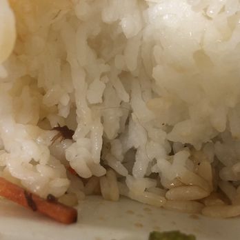 Teriyaki Plus - Japanese Near Me - Seattle, Washington Teriyaki Plus - Japanese Near Me - Seattle, Washington