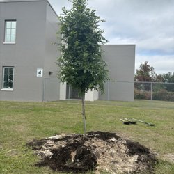 Frost Elementary - Plant that tree  earth  day