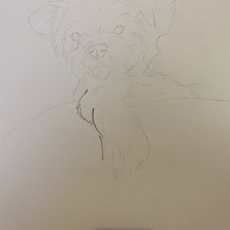 My rough sketch before I started painting my dog.