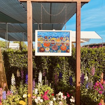 The Flower Fields - Venues & Event Spaces Near Me - Carlsbad, California The Flower Fields - Venues & Event Spaces Near Me - Carlsbad, California