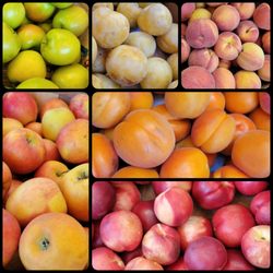 Stevenson Farmers Market - Fresh fruit