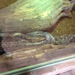 TerraZoo