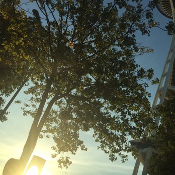 Space Needle - Summer in Seattle. #NoFilter - Landmarks & Historical Buildings Near Me - Seattle, Washington
