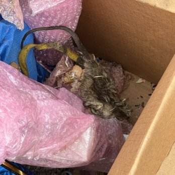 Public Storage - Dead rat - Self Storage Near Me - Vancouver, Washington