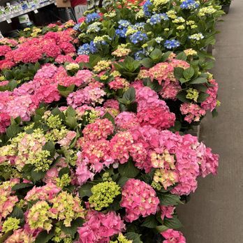 Lowe's Home Improvement - Home Decor Near Me - San Clemente, California Lowe's Home Improvement - Home Decor Near Me - San Clemente, California