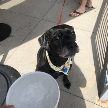 Starbucks - Thank you to Kimberly and Mo on Sunday 9/20 for the oatmeal cup of water! It's HOT out! We enjoyed our Starbucks on your patio - Coffee & Tea Near Me - Aurora, Colorado