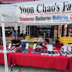 Grass Valley - Local fruit and berries available