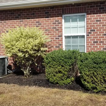 The Greenscapers - I explained my slope and water drainage issues and how I wanted the new mulch laid out, Terrance did a fabulous job! - Tree Services Near Me The Greenscapers - I explained my slope and water drainage issues and how I wanted the new mulch laid out, Terrance did a fabulous job! - Tree Services Near Me