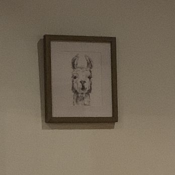 Llama Restaurant - Llama! - Peruvian Near Me - Saint Augustine, Florida