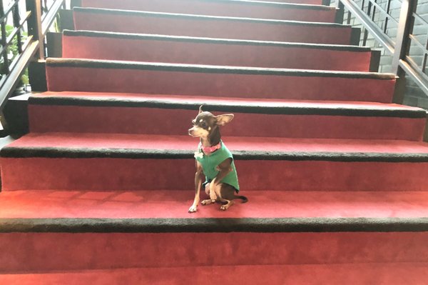 Virgin Hotels Nashville by null Virgin Hotels Nashville by null