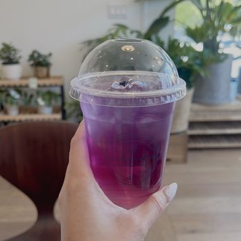 Olivia’s Garden - Florists Near Me - Toronto, Ontario