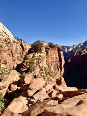 Angels Landing by null