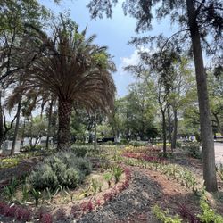 Parque América