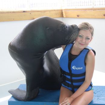 Coral World Ocean Park - Sea lion swim - Aquariums Near Me - St Thomas, Virgin Islands Coral World Ocean Park - Sea lion swim - Aquariums Near Me - St Thomas, Virgin Islands