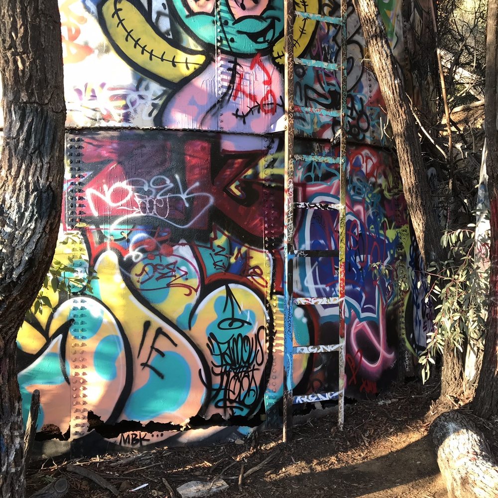 Murphy Ranch Trail - Hiking Near Me