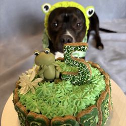 Paw Street Bakery