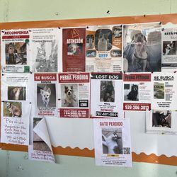 Humane Society