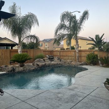 Rogers Tree Service - Palm on the right had root rot. and was dying - Tree Services Near Me Rogers Tree Service - Palm on the right had root rot. and was dying - Tree Services Near Me