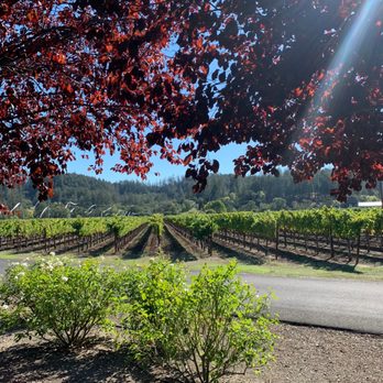 Bennett Lane Winery - Wineries Near Me - Calistoga, California Bennett Lane Winery - Wineries Near Me - Calistoga, California