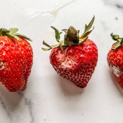 Malama Market - Moldy strawberries from malama