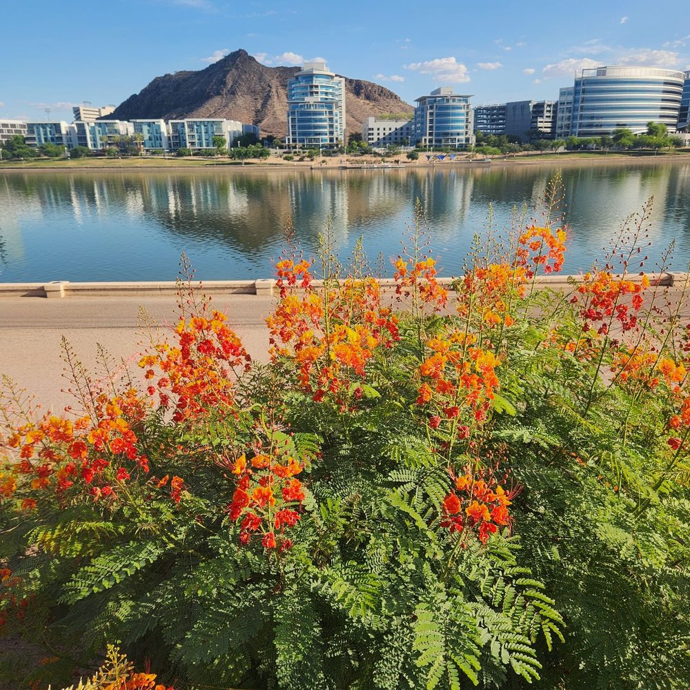 ゴルフ THE BEST 10 MARINAS in TEMPE, AZ - Updated 2025 - Hours - Yelp