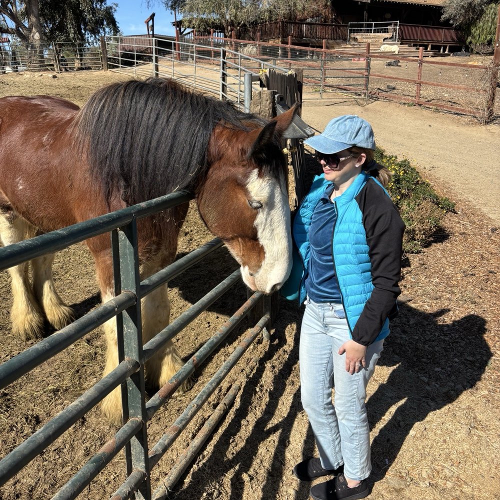 Temecula Carriage Company - Loved giving Archie lots of hugs - Wine Tours Near Me - Temecula, California Temecula Carriage Company - Loved giving Archie lots of hugs - Wine Tours Near Me - Temecula, California
